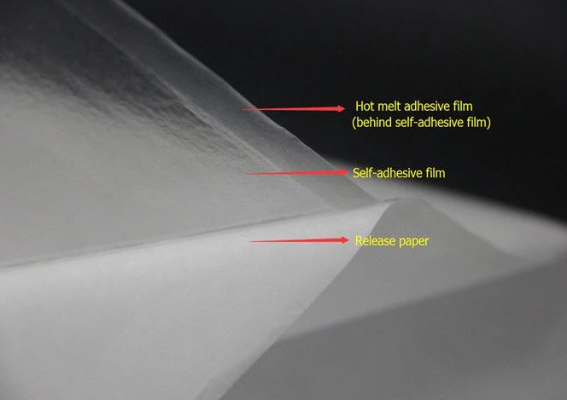 BSN (Hot-fix Converter)