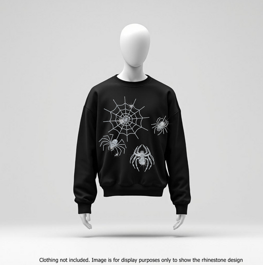 24001 Spider and web