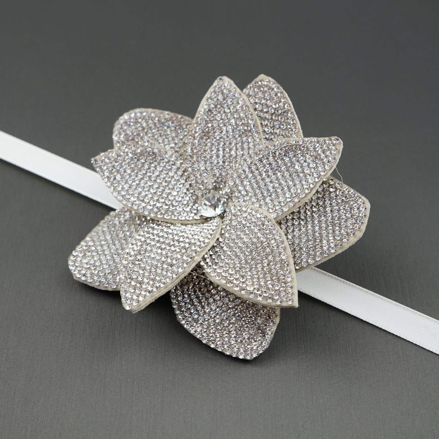 Rose Rhinestone Patch with ribbon- Belt-Chocker-Hair band- Shoe