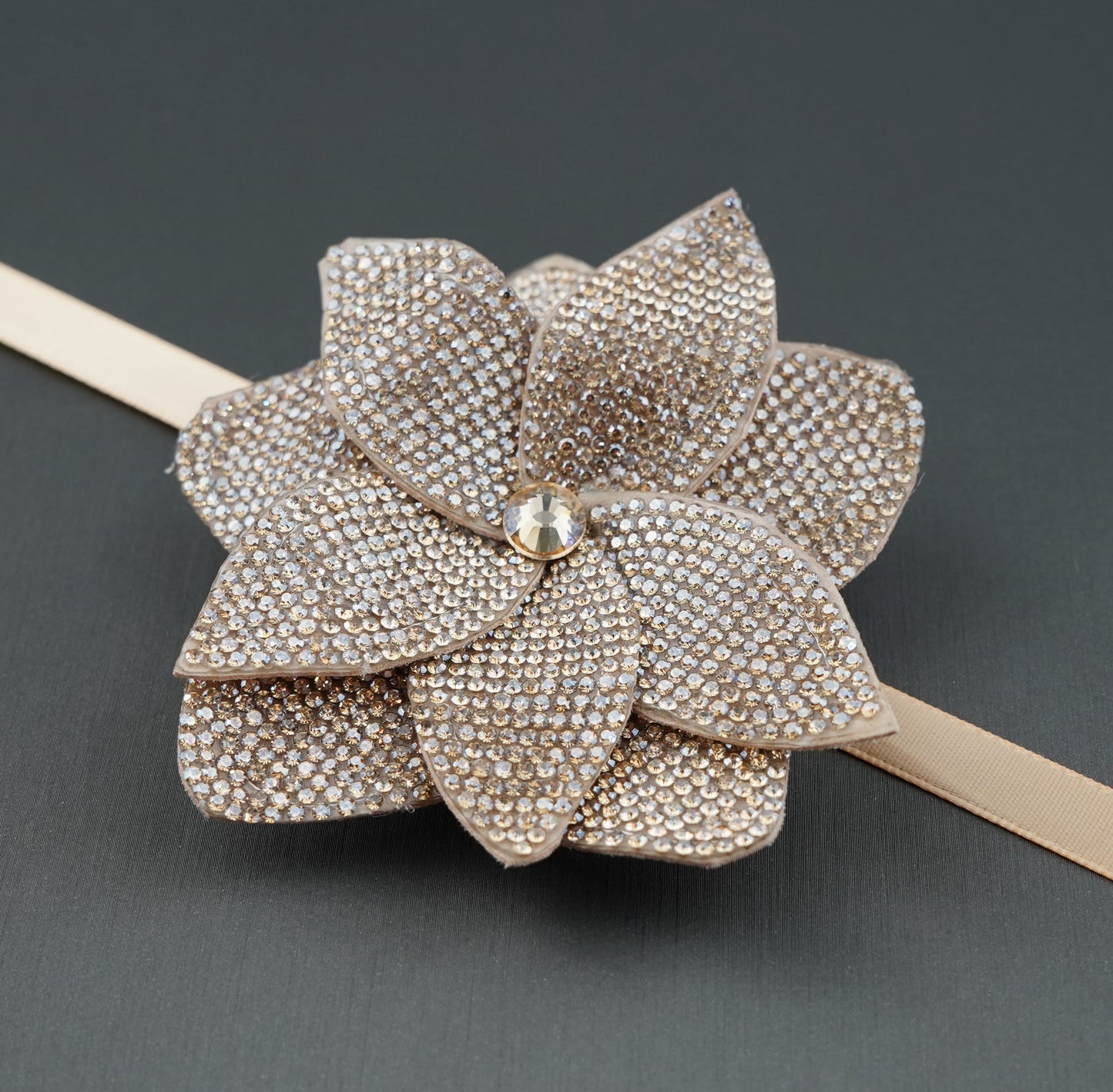 Rose Rhinestone Patch with ribbon- Belt-Chocker-Hair band- Shoe