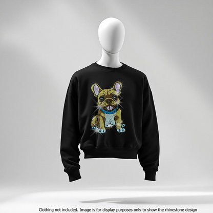 French Bulldog Puppy 23030