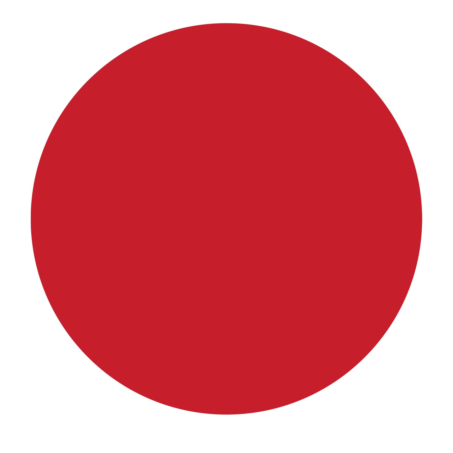 3D Foam (PUFF)  Flex PU / HTV (Heat Transfer Vinyl) By Roll  20" x 27yd