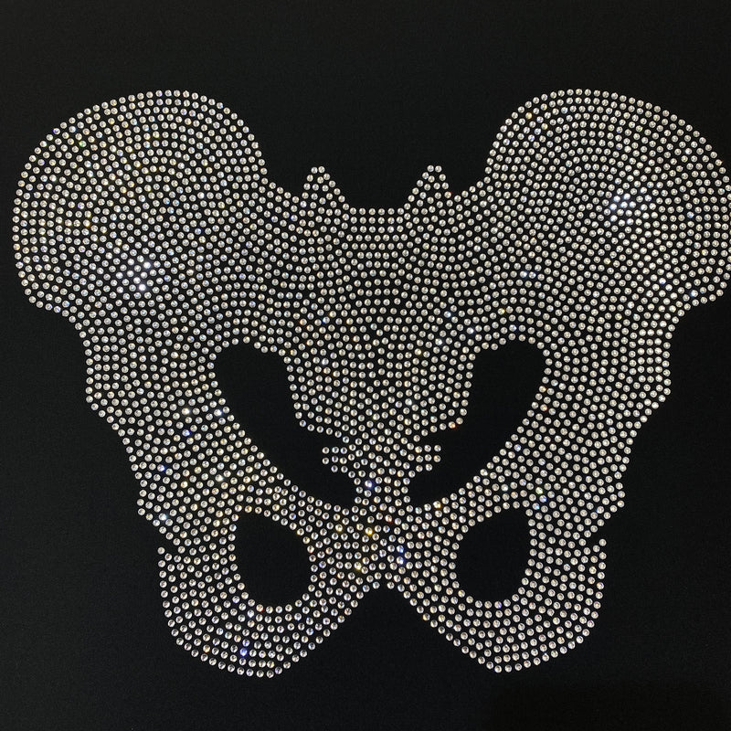 22034 Pelvis Bone