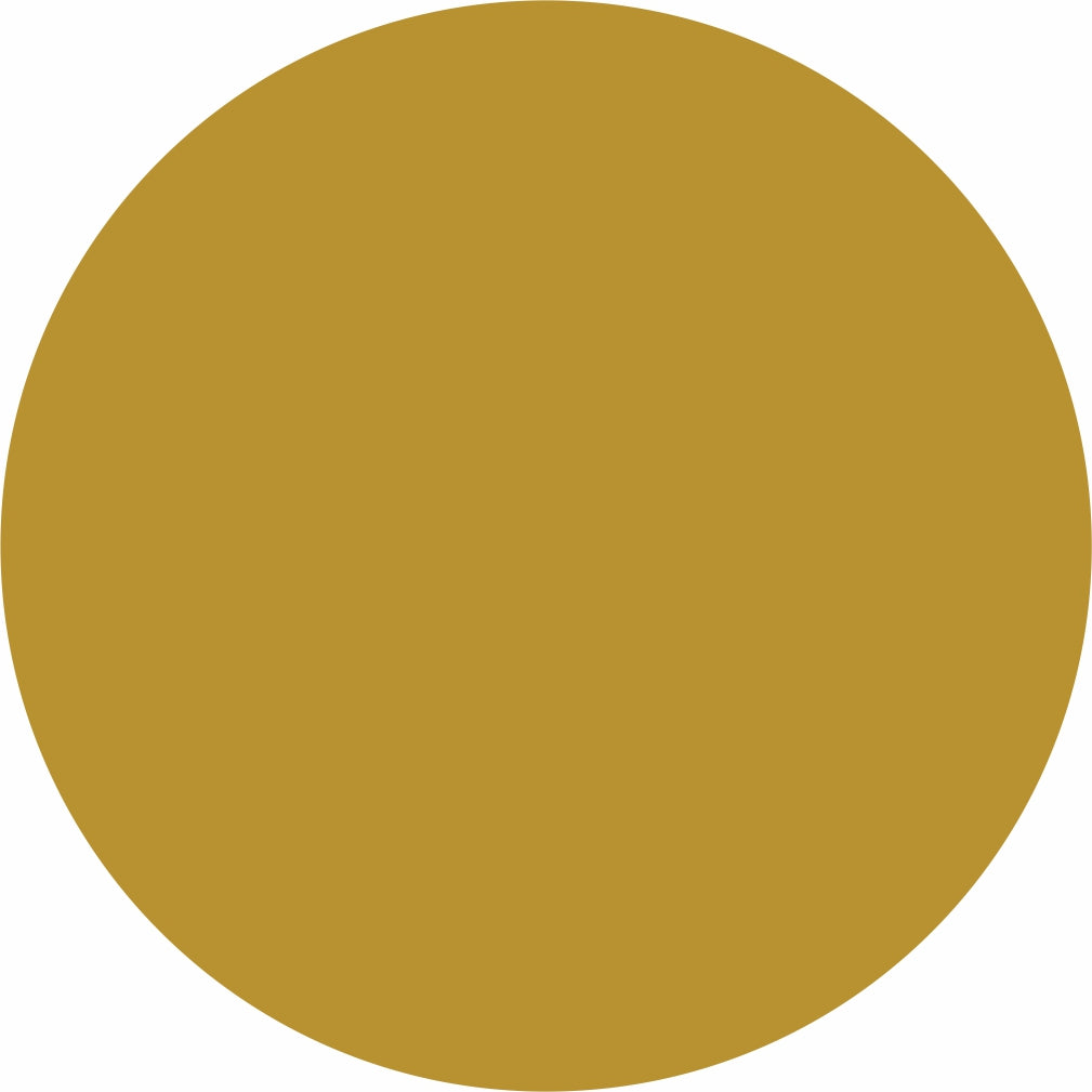 PU Regular Heat Transfer Vinyl / By Roll (20" x 27yd)